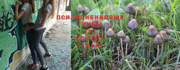 марки nbome Красноперекопск