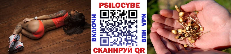 Галлюциногенные грибы ЛСД  Купить где  Касимов 